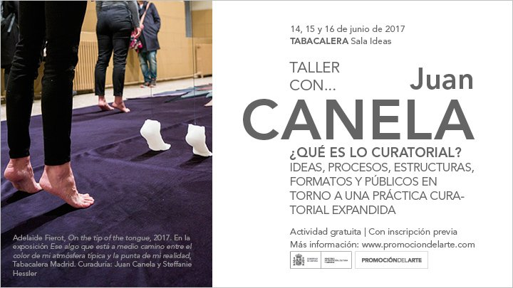 ¿Qué es lo curatorial? Taller con Juan Canela