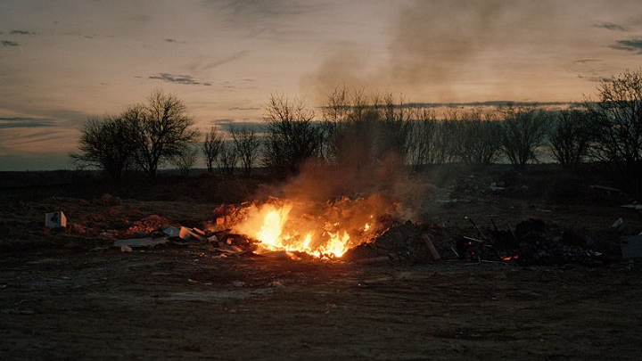 Juan Millás. Sin título. De la serie Bosque real / bosque fingido, 2011. De la caja Errores, de Sergio Rubira