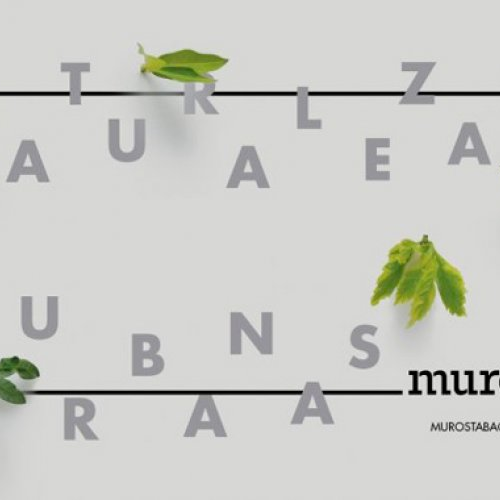 Visita virtual | Muros Tabacal