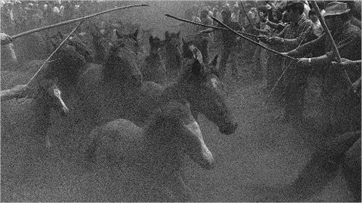 A Rapa das Bestas. Morgadanes, Pontevedra 1975 © Rafael Sanz Lobato. VEGAP. Madrid