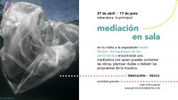 Equipo de mediación