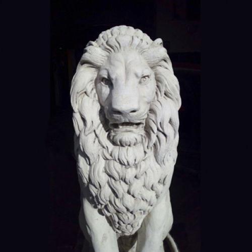 Centinela. Daniel Boccato